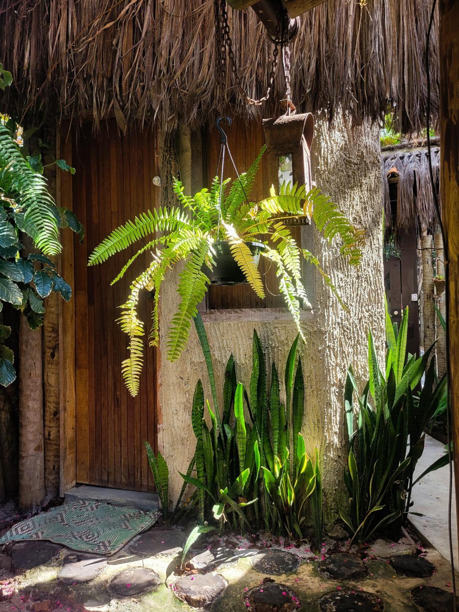 Pousada Raiz Forte Caraiva Exterior photo